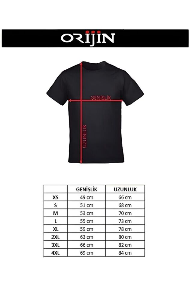 Behemoth The Satanist Album Ön Arka Baskılı Unisex Siyah Tshirt