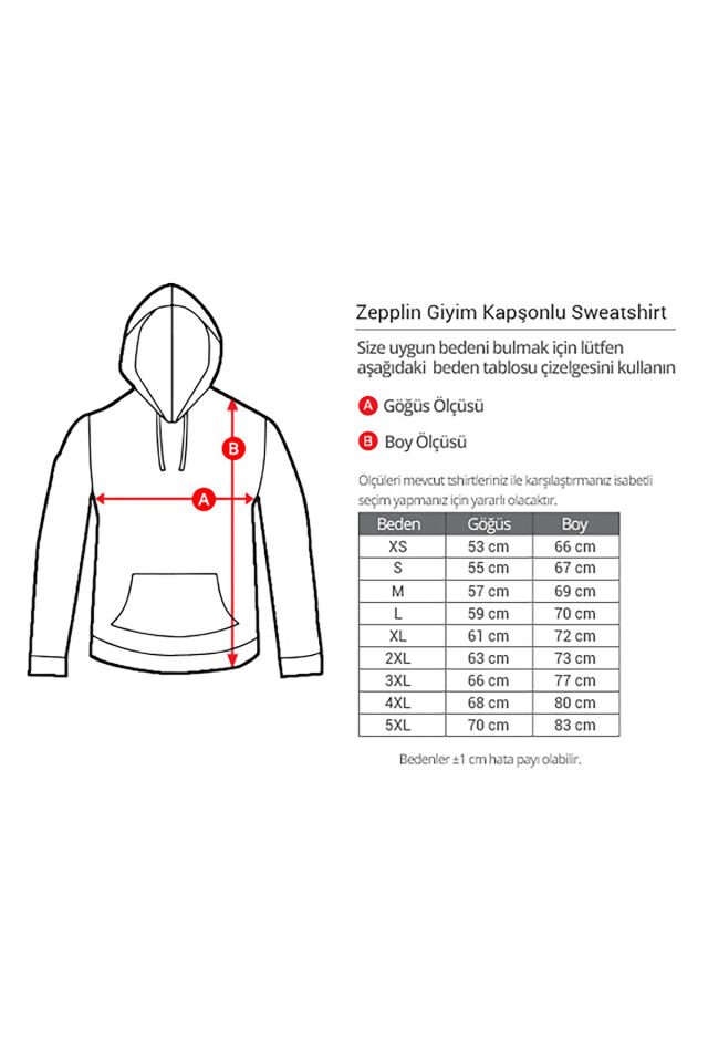 Pantera Hostile Since 1981 Siyah Kapşonlu Sweatshirt Hoodie